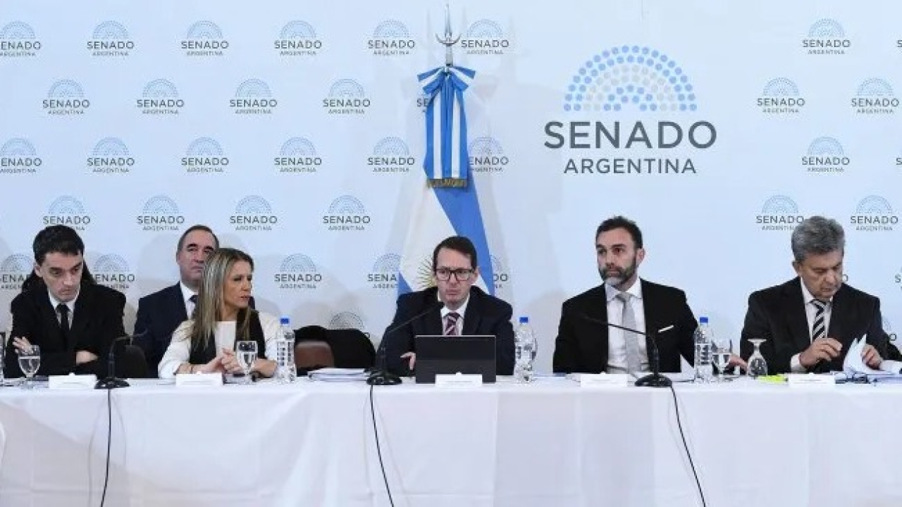 El secretario de Hacienda, Carlos Guberman, participó del debate en el Senado.